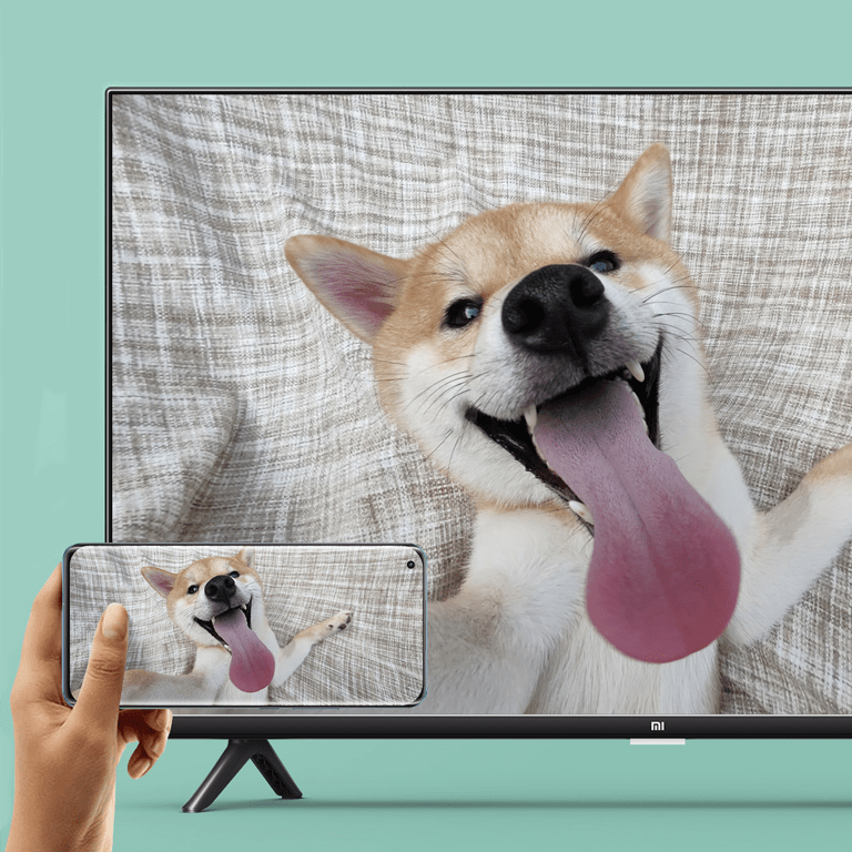���� 6 Mi TV P1