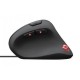 Мышка Trust GXT 144 Rexx Vertical (22991) Мышка Trust GXT 144 Rexx Vertical (22991)