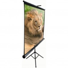 Проекционный экран T119NWS1 ELITE SCREENS Проекционный экран T119NWS1 ELITE SCREENS