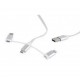 Дата кабель USB 2.0 AM to Lightning + Micro 5P + Type-C 1.0m Cablexpert (CC-USB2-AMLM32-1M-W) Дата кабель USB 2.0 AM to Lightning + Micro 5P + Type-C 1.0m Cablexpert (CC-USB2-AMLM32-1M-W)