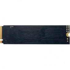Накопичувач SSD M.2 2280 960 GB Patriot (P310P960GM28) - Фото