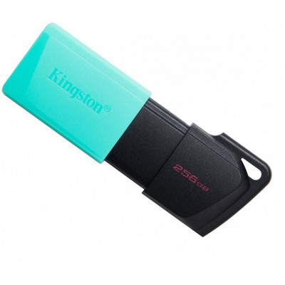 USB-флеш-накопичувач Kingston 256 GB DataTraveler Exodia M USB 3.2 (DTXM/256GB)