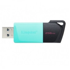 USB-флеш-накопичувач Kingston 256 GB DataTraveler Exodia M USB 3.2 (DTXM/256GB) - Фото
