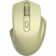 Мышка Canyon MW-15 Wireless Golden (CNE-CMSW15GO)