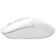 Мышка A4Tech FB12S Wireless/Bluetooth White (FB12S White) Мышка A4Tech FB12S Wireless/Bluetooth White (FB12S White)