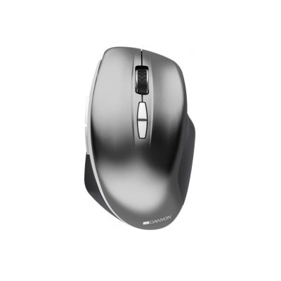 Мышка Canyon MW-21 Wireless Blue LED Dark gray (CNS-CMSW21DG)