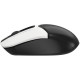 Мышка A4Tech FB12S Wireless/Bluetooth Panda (4711421967945)