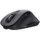 Мышка Trust Fyda Wireless Black (24727) Мышка Trust Fyda Wireless Black (24727)