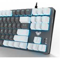 Клавіатура Aula F3287 Keycap KRGD Blue USB UA White/Grey (6948391240688) Клавіатура Aula F3287 Keycap KRGD Blue USB UA White/Grey (6948391240688) - Фото