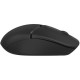 Мышка A4Tech FB12S Wireless/Bluetooth Black (FB12S Black) Мышка A4Tech FB12S Wireless/Bluetooth Black (FB12S Black)