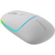 Мышка Canyon MW-22 Dual Band RGB Wireless Snow White (CNS-CMSW22SW)