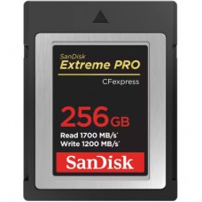 Карта памяти SanDisk 256GB CFexpress Extreme Pro (SDCFE-256G-GN4NN)