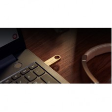 USB флешнакопичувач Kingston 256 GB DataTraveler SE9 G3 Gold USB 3.2 (DTSE9G3/256GB) - Фото
