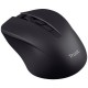 Мышка Trust Mydo Silent Wireless Black (25084) Мышка Trust Mydo Silent Wireless Black (25084)