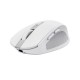 Мышка Trust Ozza compact Bluetooth/Wireless/USB-A White (24933) Мышка Trust Ozza compact Bluetooth/Wireless/USB-A White (24933)