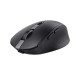 Мышка Trust Ozza compact Bluetooth/Wireless/USB-A Black (24819) Мышка Trust Ozza compact Bluetooth/Wireless/USB-A Black (24819)