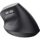 Мышка Trust Bayo 2 Ergonomic Wireless/USB-A Black (25145) Мышка Trust Bayo 2 Ergonomic Wireless/USB-A Black (25145)