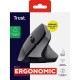 Мышка Trust Bayo 2 Ergonomic Wireless/USB-A Black (25145) Мышка Trust Bayo 2 Ergonomic Wireless/USB-A Black (25145)