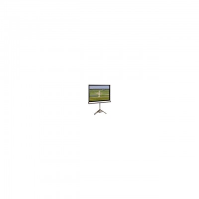 Проєкційний екран T113NWS1 ELITE SCREENS
