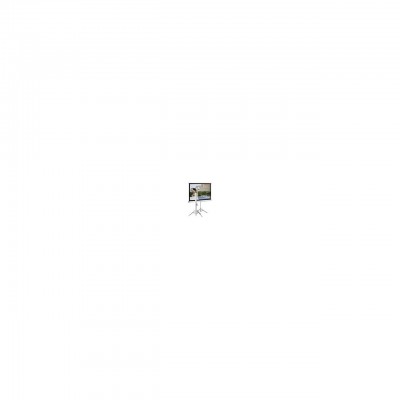 Проекционный экран T113UWS1 Black case ELITE SCREENS (T113UWS1)
