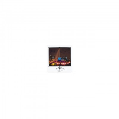 Проекционный экран T100UWH Elite Screens