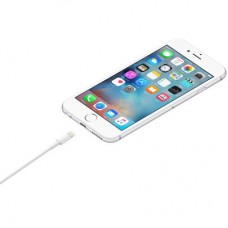 Дата кабель Lightning to USB 1.0m Model A1480 Apple (MUQW3ZM/A) - Фото