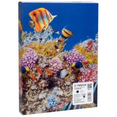 Картридж Barva Epson T9661 XXL (C13T966140) 40K, black (IC-T9661XXL) Картридж Barva Epson T9661 XXL (C13T966140) 40K, black (IC-T9661XXL)