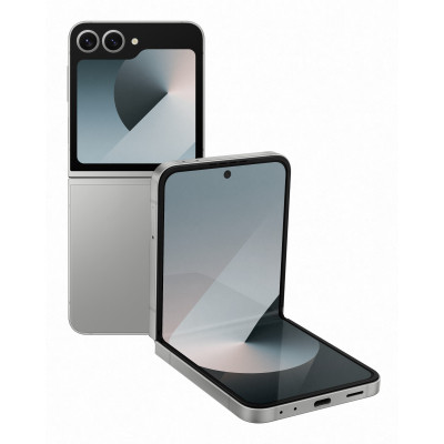 Мобільний телефон Samsung Galaxy Flip6 12/256 Gb Silver Shadow (SM-F741BZSGSEK)