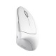 Мышка Trust Verto Ergonomic Wireless White (25132) Мышка Trust Verto Ergonomic Wireless White (25132)