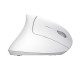 Мышка Trust Verto Ergonomic Wireless White (25132) Мышка Trust Verto Ergonomic Wireless White (25132)
