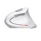 Мышка Trust Verto Ergonomic Wireless White (25132) Мышка Trust Verto Ergonomic Wireless White (25132)
