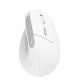 Мышка Trust Bayo II Ergonomic Wireless White (25398) Мышка Trust Bayo II Ergonomic Wireless White (25398)