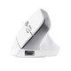 Мышка Trust Bayo II Ergonomic Wireless White (25398) Мышка Trust Bayo II Ergonomic Wireless White (25398)