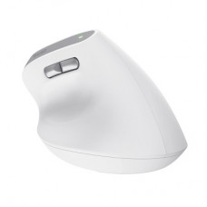 Мышка Trust Bayo II Ergonomic Wireless White (25398) - Фото