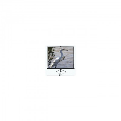 Проекционный экран T84UWV1 Elite Screens