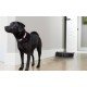 Пилосос iRobot Roomba Combo i5 (i517840) Пилосос iRobot Roomba Combo i5 (i517840)