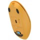 Мышка A4Tech FG15CS Air2 Wireless Yellow (4711421001236) Мышка A4Tech FG15CS Air2 Wireless Yellow (4711421001236)