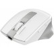 Мышка A4Tech FB45CS Air2 Bluetooth/Wireless Silver/White (4711421999373) Мышка A4Tech FB45CS Air2 Bluetooth/Wireless Silver/White (4711421999373)