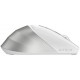 Мышка A4Tech FB45CS Air2 Bluetooth/Wireless Silver/White (4711421999373) Мышка A4Tech FB45CS Air2 Bluetooth/Wireless Silver/White (4711421999373)