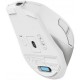 Мышка A4Tech FB45CS Air2 Bluetooth/Wireless Silver/White (4711421999373) Мышка A4Tech FB45CS Air2 Bluetooth/Wireless Silver/White (4711421999373)