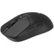 Мышка A4Tech Bloody R72 Pro Wireless/USB Black (4711421000871) Мышка A4Tech Bloody R72 Pro Wireless/USB Black (4711421000871)