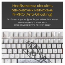 Клавиатура Ducky One 3 Cherry MX Blue RGB UA USB White (DKON2108ST-CUAPXPWWWSC1) - Фото