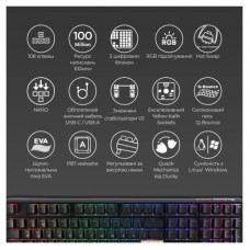 Клавиатура Ducky One 3 TKL Cherry MX Speed Silver RGB UA USB Black (DKON2187ST-PUAPXCLAWSC1) - Фото