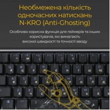 Клавиатура Ducky One 3 Mini Cherry MX Brown RGB UA USB Black (DKON2161ST-BUAPXCLAWSC1) - Фото
