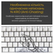 Клавиатура Ducky One 3 Mini Cherry MX Silent Red RGB UA USB White (DKON2161ST-SUAPXPWWWSC1) - Фото