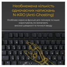 Клавиатура Ducky One 3 TKL Cherry MX Speed Silver RGB UA USB Black (DKON2187ST-PUAPXCLAWSC1) - Фото