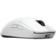 Мышка Logitech G Pro 2 Lightspeed Wireless White (910-007302)