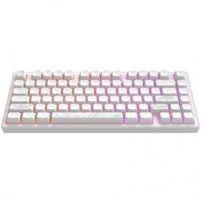Клавиатура Dark Project ALU81 Terra Nostra PBT RGB Mech G3MS Moonstone White (DPKB_NOSTRA_81_ANSI_WHITE_UA)