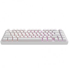 Клавіатура Dark Project ALU81 Terra Nostra PBT RGB Mech G3MS Moonstone White (DPKB_NOSTRA_81_ANSI_WHITE_UA) - Фото