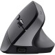 Мышка Trust Bayo + Ergonomic Wireless/Bluetooth Black (25146)